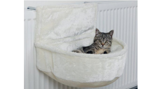 Quel panier suspendu pour un chat d'appartement ?