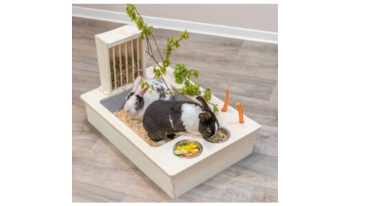 Notre coup de coeur PRO : Râtelier litière lapin