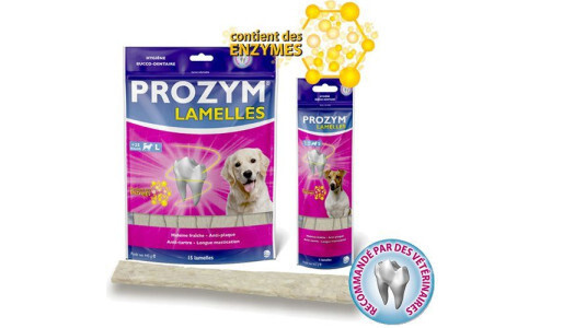 Existe-t-il une friandise vraiment efficace contre le tartre ?