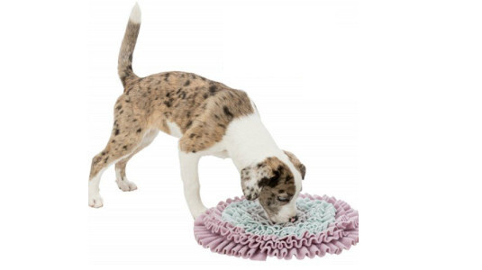 Le tapis de fouille peut-il être utilisé comme gamelle anti glouton ?