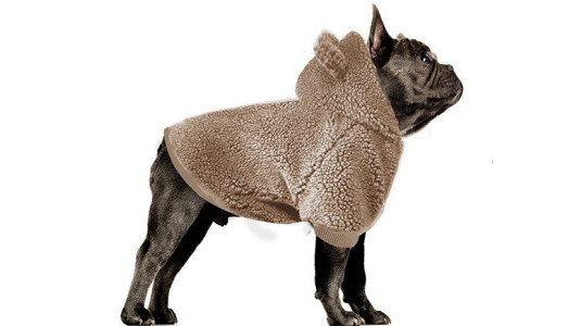 Vêtement chaud : Manteau Bouledogue Français