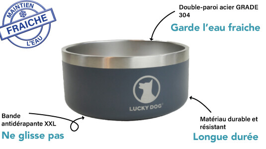 La première gamelle inox thermos pour chien