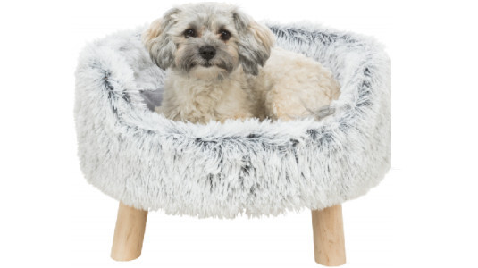 Le canapé ! l'élégance pour votre chien