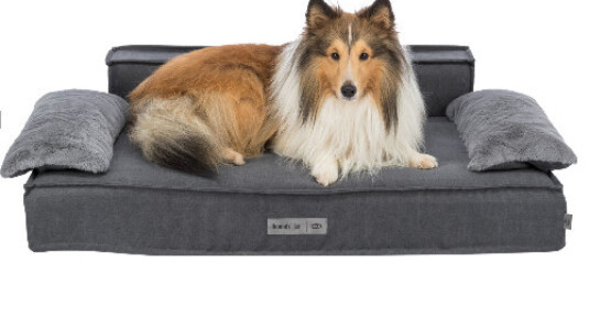 Canapé pour chien XXL