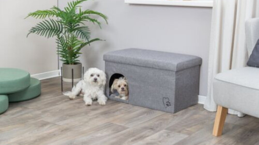 Une niche d'intérieur design pour chien