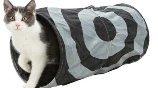 Tunnel extérieur, résistant jeu de cache/cache pour chat