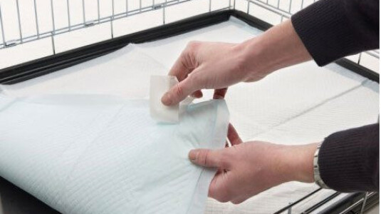 Comment attirer mon chien sur le tapis de propreté ?