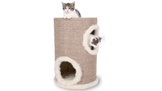 Pourquoi acheter un arbre à chat tour ?