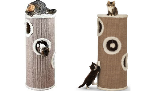 Comment choisir l'arbre à chat tour pour votre chat ?