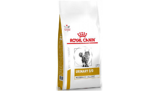 Mon chat a de l'embonpoint, quelles croquettes Royal Canin ?