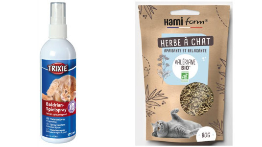 Comment faire dormir un chat dans sa panière ?