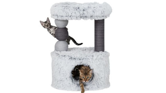 Combien faut-il de paniers pour 2 chats ?