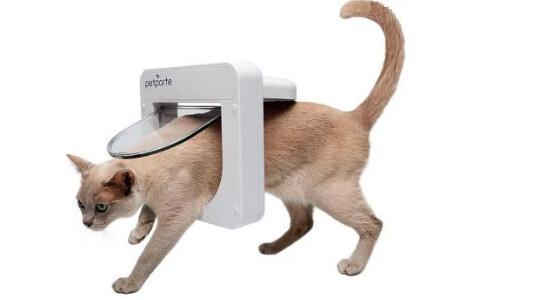 Comment choisir la taille de la chatière ?