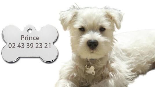 Médaille pour chien personnalisée et moderne