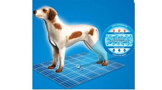 Que contient le coussin rafraîchissant pour chien ?