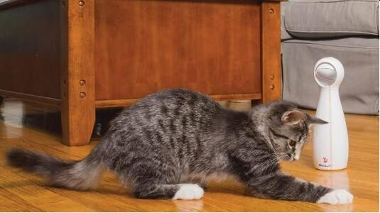 Jouet laser pour chat : Stimulez le bien-être et l'énergie de votre félin