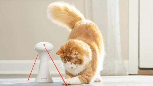 Laser automatique pour chat : Un jeu autonome pour votre félin