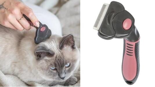 Quelle est la meilleure brosse pour un chat à poil court ?