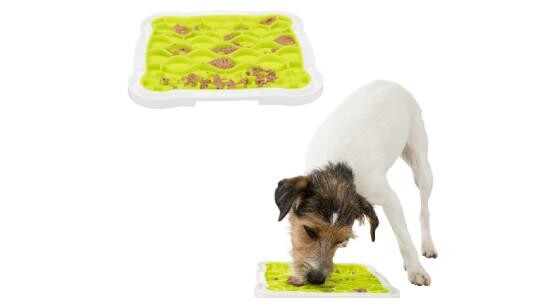 Le léchage un intérêt anti stress pour votre chien