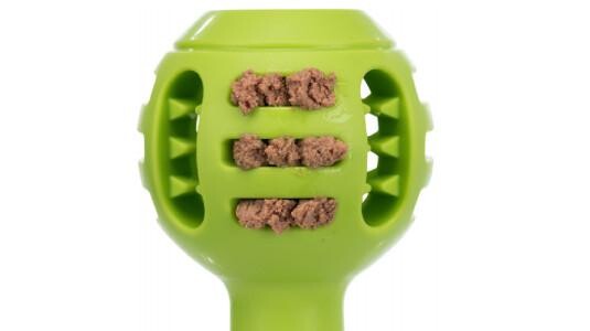 Quelles friandises est recommandées pour le tapis ?