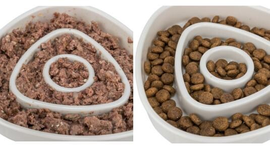 Quelle gamelle pour un chat qui mange trop vite ?