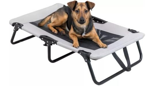 Quels sont les avantages du lit de camp pour un chien ?