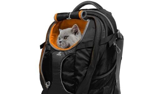 Le sac à dos est prévu pour un chat de quel poids ?