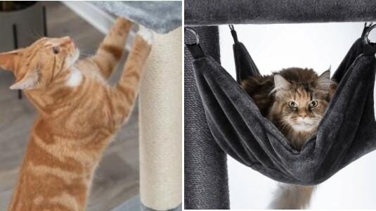 L'arbre à chat : l'accessoire préféré de votre félin