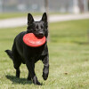 KONG Frisbee Classic Flyer rouge
