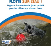 Boomer Ball, balle pour chien indestructible