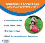 Boomer Ball, balle pour chien indestructible