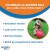 Boomer Ball, balle pour chien indestructible