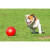 Boomer Ball, balle pour chien indestructible