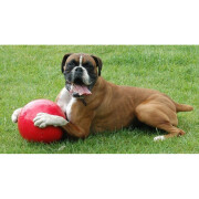 Boomer Ball, balle pour chien indestructible