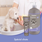 Shampooing Premium chiot peau sensible