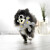 KONG Peluche Wild Knots Ours