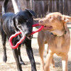 KONG Jouet Tug Toy