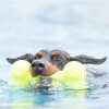 KONG Jouet AirDog Bone