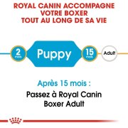 ROYAL CANIN Croquettes Boxer puppy