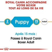 ROYAL CANIN Croquettes Boxer puppy Sac de 12 kg