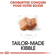 ROYAL CANIN Croquettes Boxer puppy Sac de 12 kg