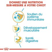 ROYAL CANIN Croquettes Boxer puppy