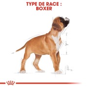 ROYAL CANIN Croquettes Boxer puppy Sac de 12 kg