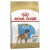 ROYAL CANIN Croquettes Boxer puppy