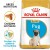 ROYAL CANIN Croquettes Carlin puppy
