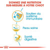 ROYAL CANIN Croquettes Carlin puppy Sac de 1,5 kg