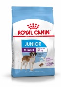 Giant junior