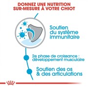 ROYAL CANIN Croquettes Giant Junior