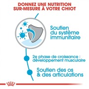 ROYAL CANIN Croquettes Giant Junior 15 kg