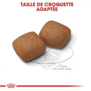 ROYAL CANIN Croquettes Giant Junior